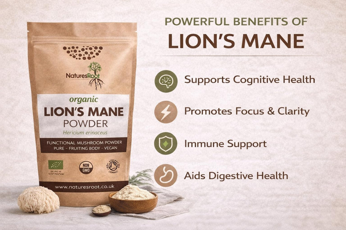 Natures Root Nature’s Root Organic Lion’s Mane Mushroom Powder 200g – 100% Fruiting Body (Hericium erinaceus) – Finely Milled Vegan Mushroom Powder for Coffee, Smoothies & Hot Drinks – No Fillers