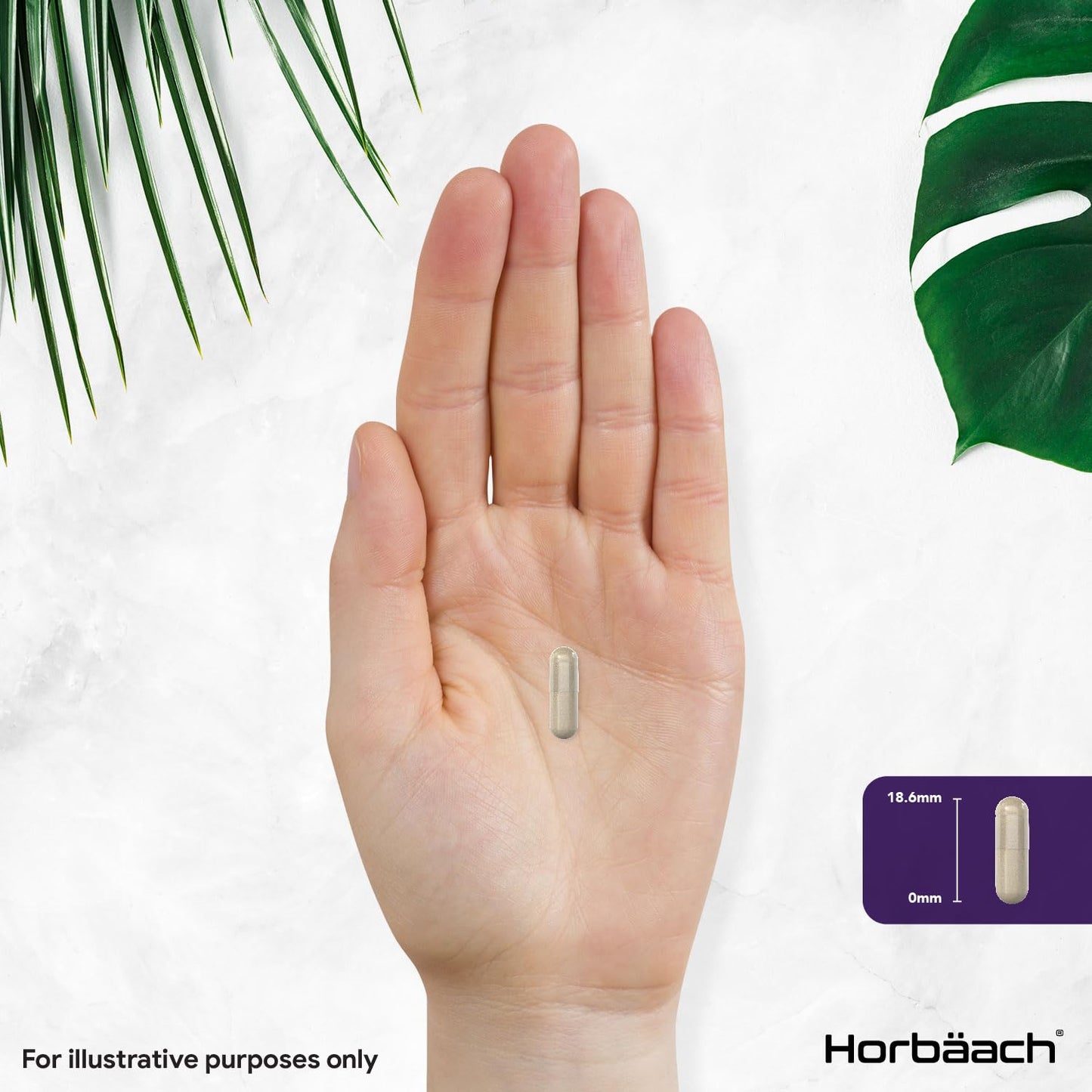 Horbäach Night Time Complex 5000mg | with Ashwagandha KSM-66, Lemon Balm, Chamomile and L-Tryptophan | 60 Vegan Capsules | Sleep Complex for Men & Women | by Horbaach