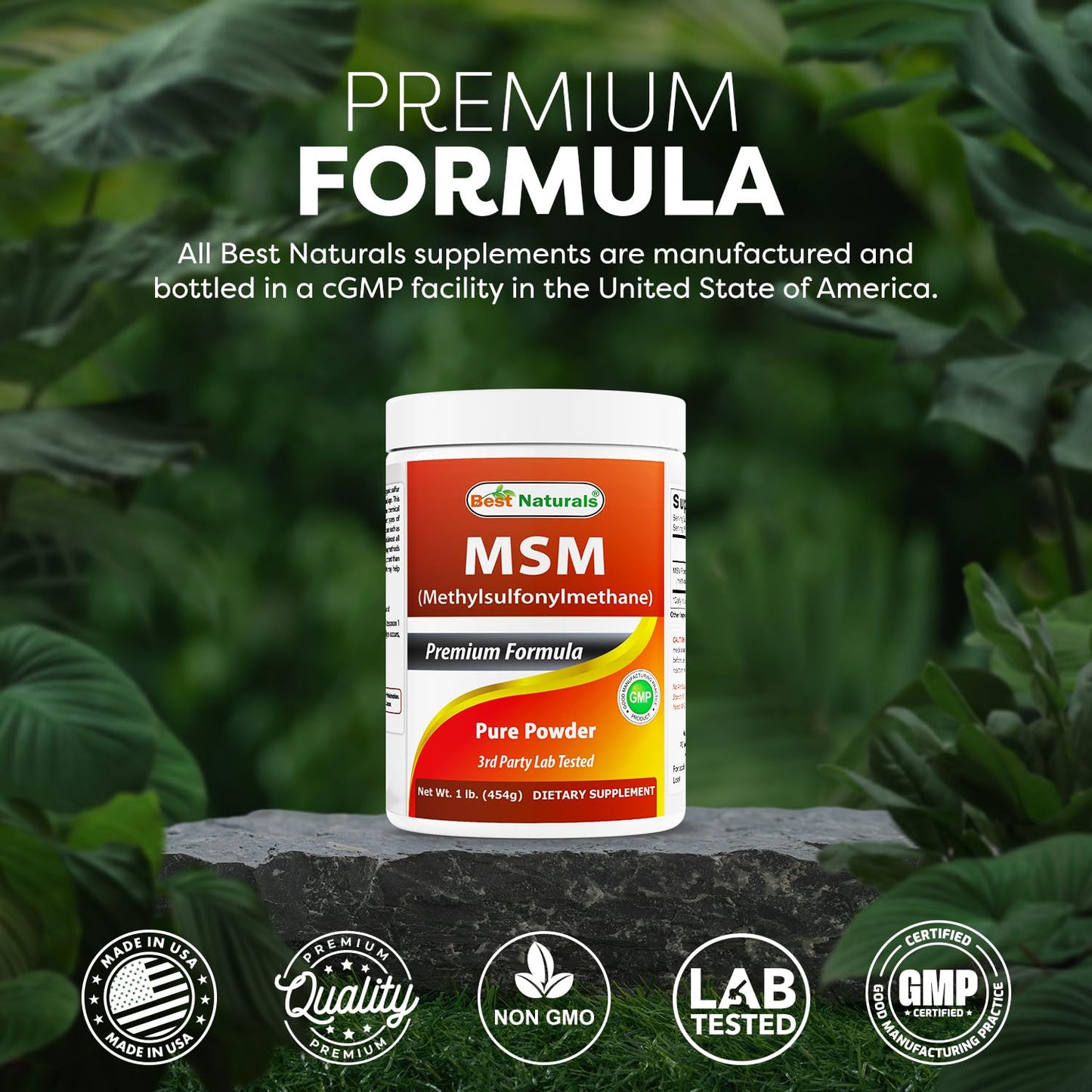 Best Naturals 100% Pure MSM Powder, 1Lb (1 LB (Pack of 1))