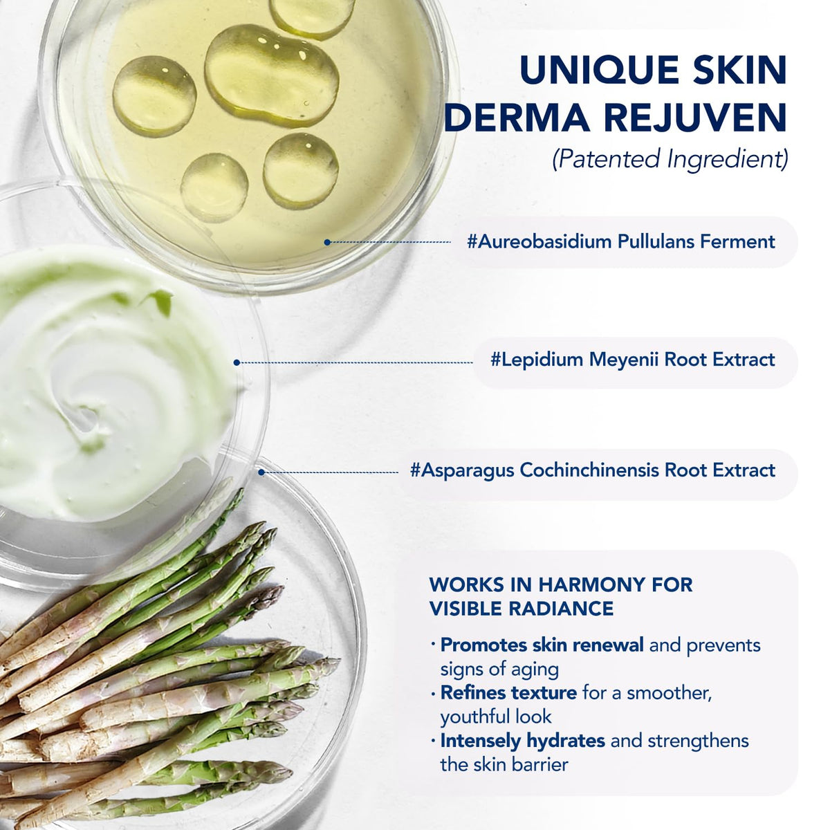 ElySeoul Neck Cream for Firming Tightening & Wrinkle: Korean Made Crepey & Sagging Skin Toning, Anti-Aging Cream for Décolleté, Chest - Acetyl Hexapeptide-8, Collagen Water, Peptides, Skin Derma Rejuven