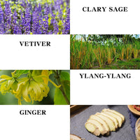 Massage Oil for Relaxing Ginger Clary Vetiver and Ylang-ylang Massage Oils Moisturizing Body Oil for Men and Women 8.8 fl.oz