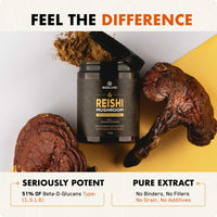 Solve Labs SOLVE Labs® ● Premium Reishi Mushroom Capsules ● 51% Beta-D-Glucans ● 10:1 Concentrate ● No Fillers & Additives ● Vegetarian & Kosher ● 60 Capsules ● 1 Month Supply