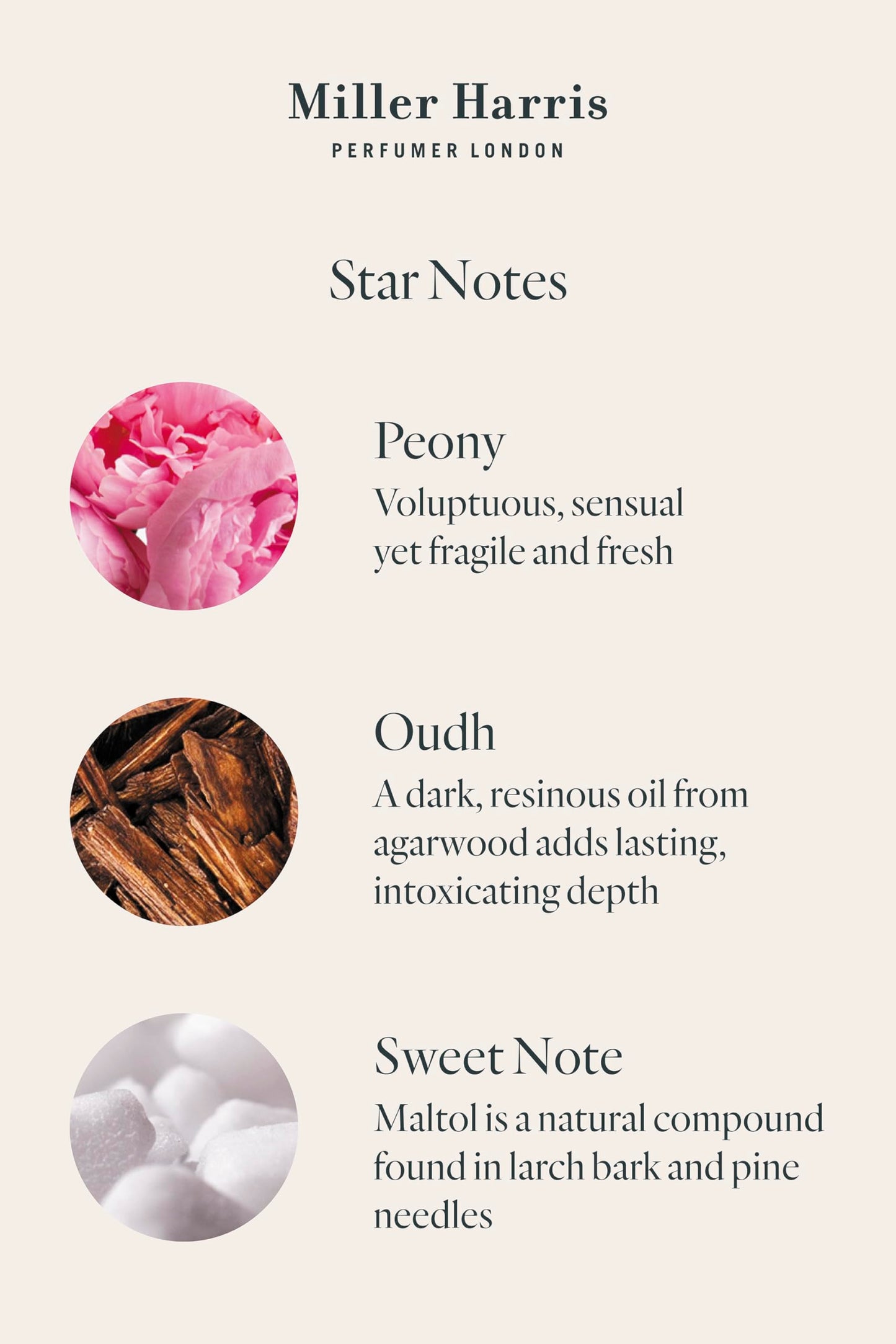 Miller Harris Scherzo Hand and Body Lotion 300ml – Shea Butter, Argan Oil, Glycerin, Aloe Vera & Vitamin B5 | Bold & Vibrant Scent for Nourishing Skin