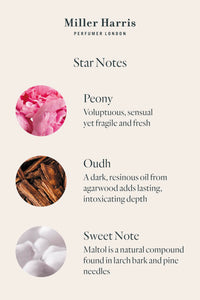 Miller Harris Scherzo Hand and Body Lotion 300ml – Shea Butter, Argan Oil, Glycerin, Aloe Vera & Vitamin B5 | Bold & Vibrant Scent for Nourishing Skin