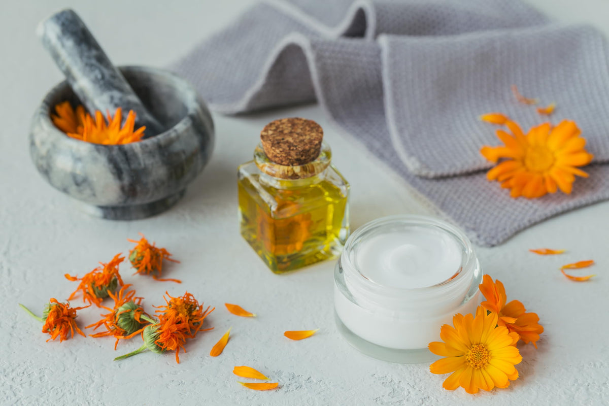 wellmadefairtrade Arnica Cream Arnica Oil for Bruising Arnica Massage Arnica Bruising Swelling Bruise Cream