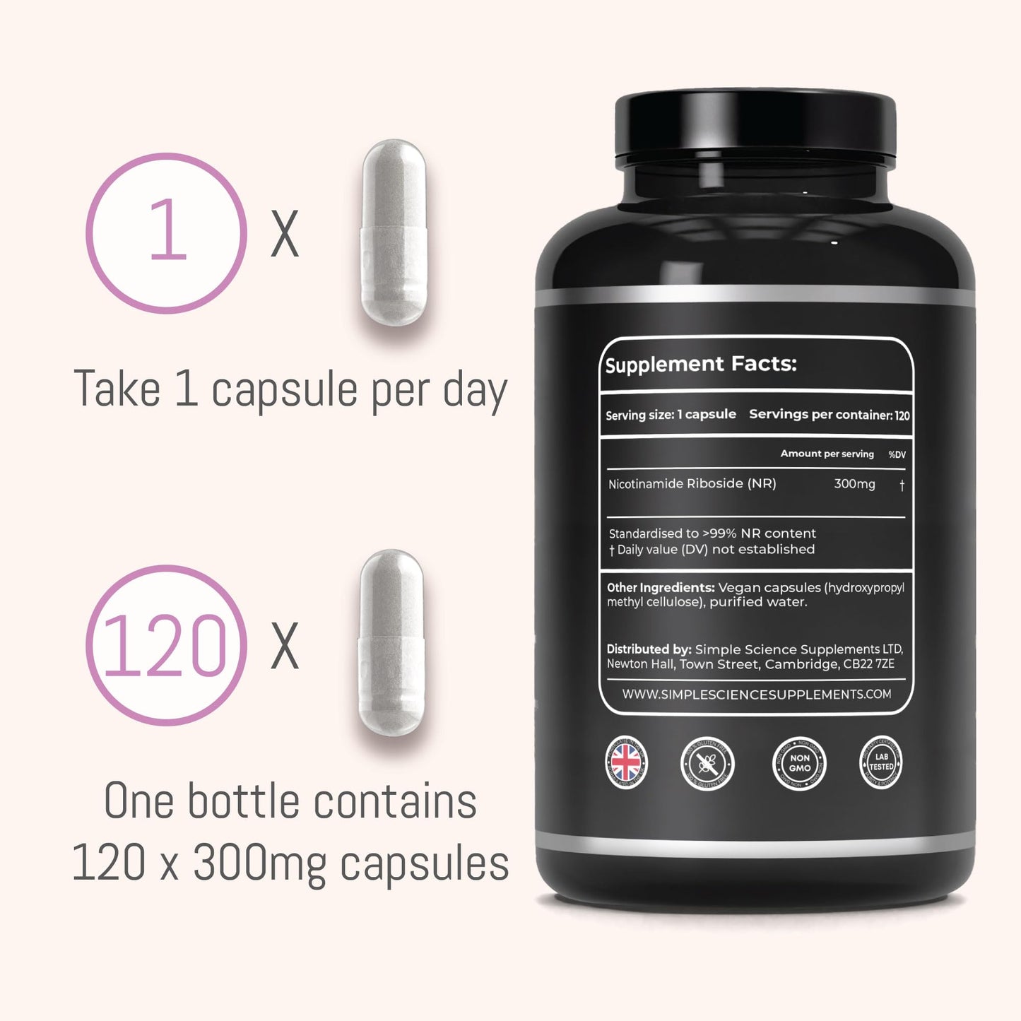 Ultra Pure NICOTINAMIDE RIBOSIDE 300MG | 120 Servings | 99% Pure NR | NAD+ Precursor | Anti-ageing & Longevity Supplement | Lab Tested | 100% Natural and Non-GMO