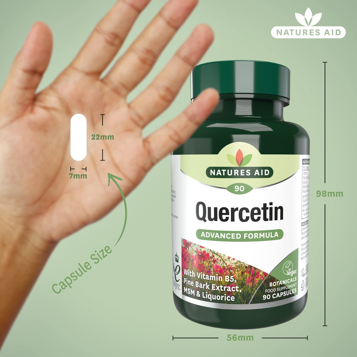 Natures Aid Quercetin Formula – Immune Support Supplement with Vitamin C, B5, MSM, Pine Bark & Liquorice – Supports Energy & Wellbeing High Strength Antioxidant – 90 Vegan Capsules