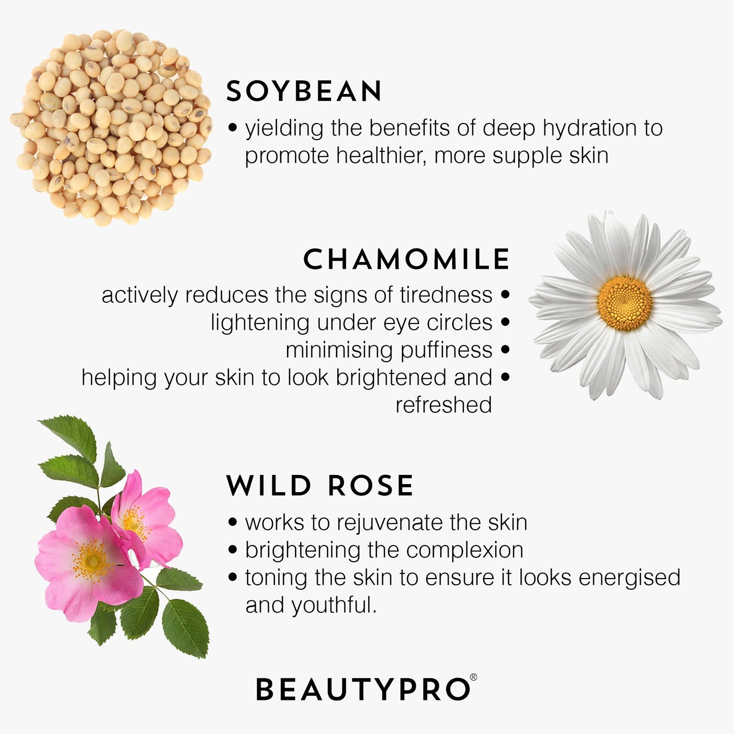 BEAUTYPRO HYALURONIC ACID Daily Hydrating Antioxidant Serum 30ml | 100% Plant Based Skincare Serum | Hydrating, Anti-Inflammatory, & Energising | Soybean & Chamomile |