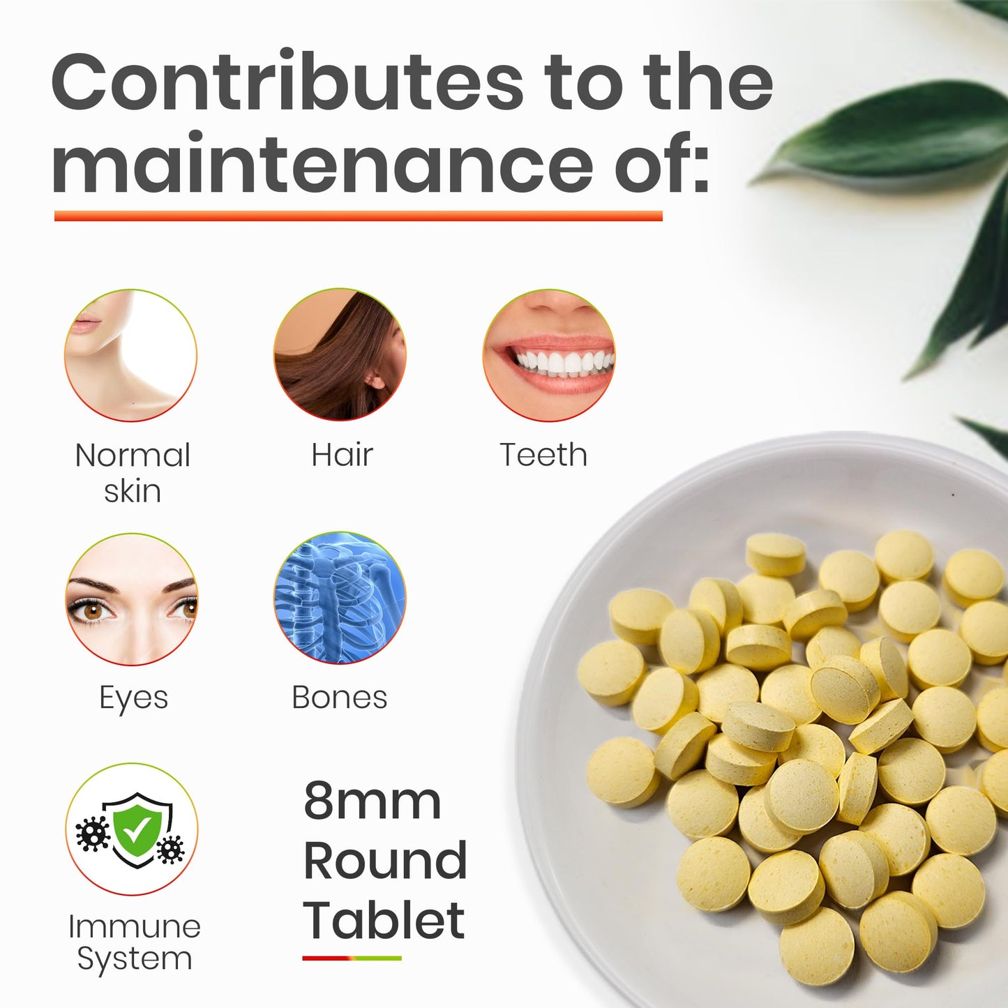 Red Label Health Multivitamin Tablets for Men & Women, 30 Tablets 1 Month Supply A-Z Essential High Strength Multi Vitamin Supplement Immune Support & Daily Wellbeing Vegetarian Multivitamins One a Day