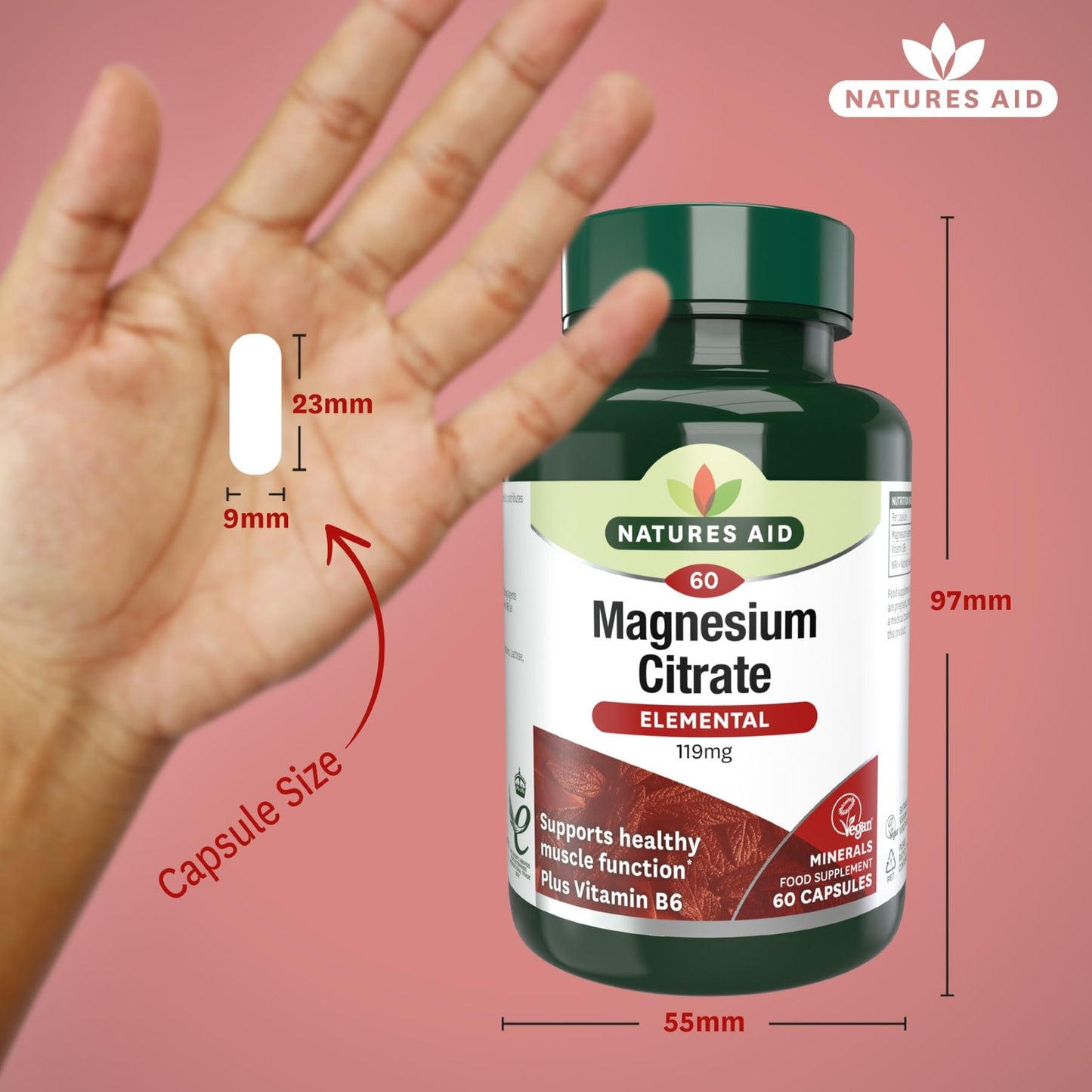 Natures Aid Magnesium Citrate 750mg with Vitamin B6 – High Absorption Vegan Capsules – Supports Muscle, Nerve & Bone Health and Stress Relief – Non-GMO, Gluten-Free – 60 Capsules