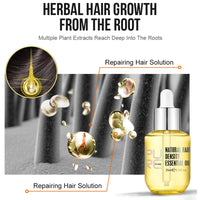 Hair Growth Serum Anti Hair Loss Hair Serum Ginger Regrowth Hair Oil For Thinning Balding,Thin Hair,Fast Growth,Repairs Follicles Stronger Hair For Men & Women,35ml (1pc)