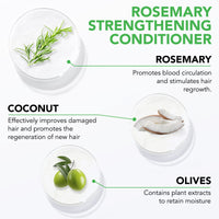 Bibonse Rosemary Conditioner, Rosemary Mint Conditioner, Organic Hair Growth Conditioner for Dry Damaged Hair, Supports Hair Strengthing, Nourishes Scalp, Biotin Hair Conditioner for Men Women, 300 ml