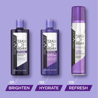 PROVOKE Touch of Silver Intensive Conditioner - for Blonde, Platinum, White or Grey Hair - 200 ml