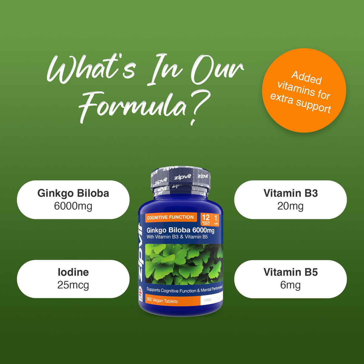Zipvit Ginkgo Biloba 6000mg with Vitamins B3 & B5, 360 Vegan Tablets, Supports Memory, Focus, Brain Health & Cognitive Wellness, Standardised 50:1 Leaf Extract, 12 Months Supply.