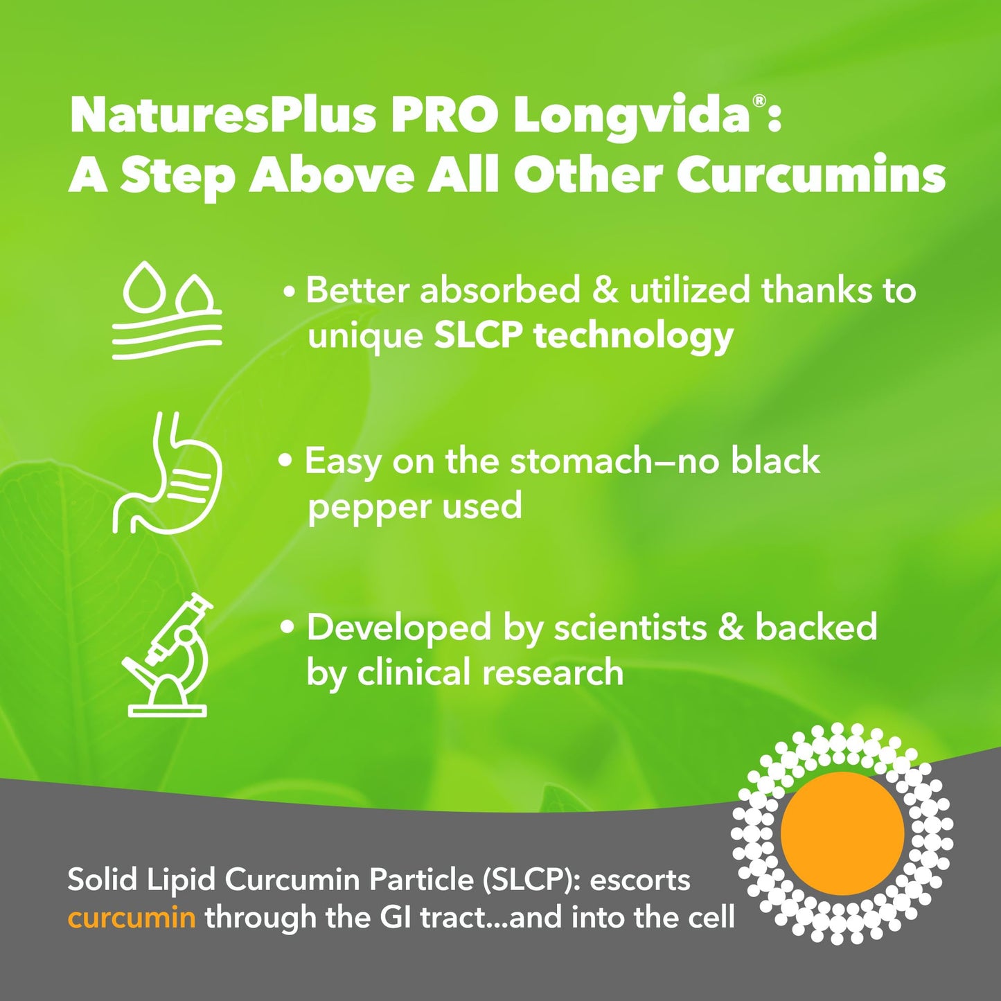 Nature's Plus NaturesPlus PRO Longvida Curcumin Lozenge - 500 Mg Turmeric Extract Supplement per Lozenge - Superior Absorption, Prolonged Action - Vegan, Gluten Free - 60 Lozenges