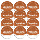 Lip Vaseline Cocoa X 12 X 20g