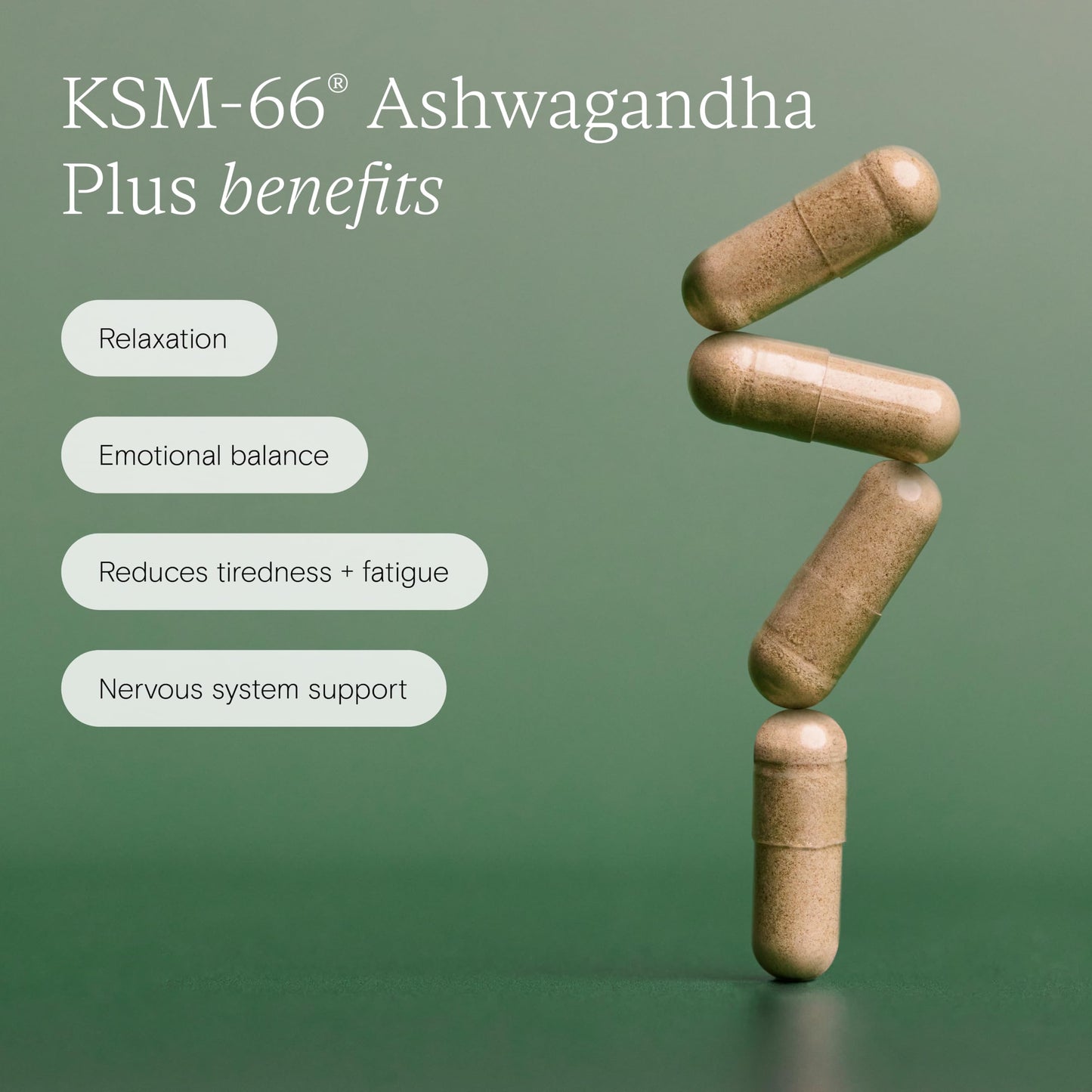 Wild Nutrition WILD NUTRITION Food-Grown Ashwagandha KSM 66 Plus | Ethically Sourced Ashwagandha Capsules to Support Mind and Body | Tablets to Support Stress and Anxiety | 60 Capsules