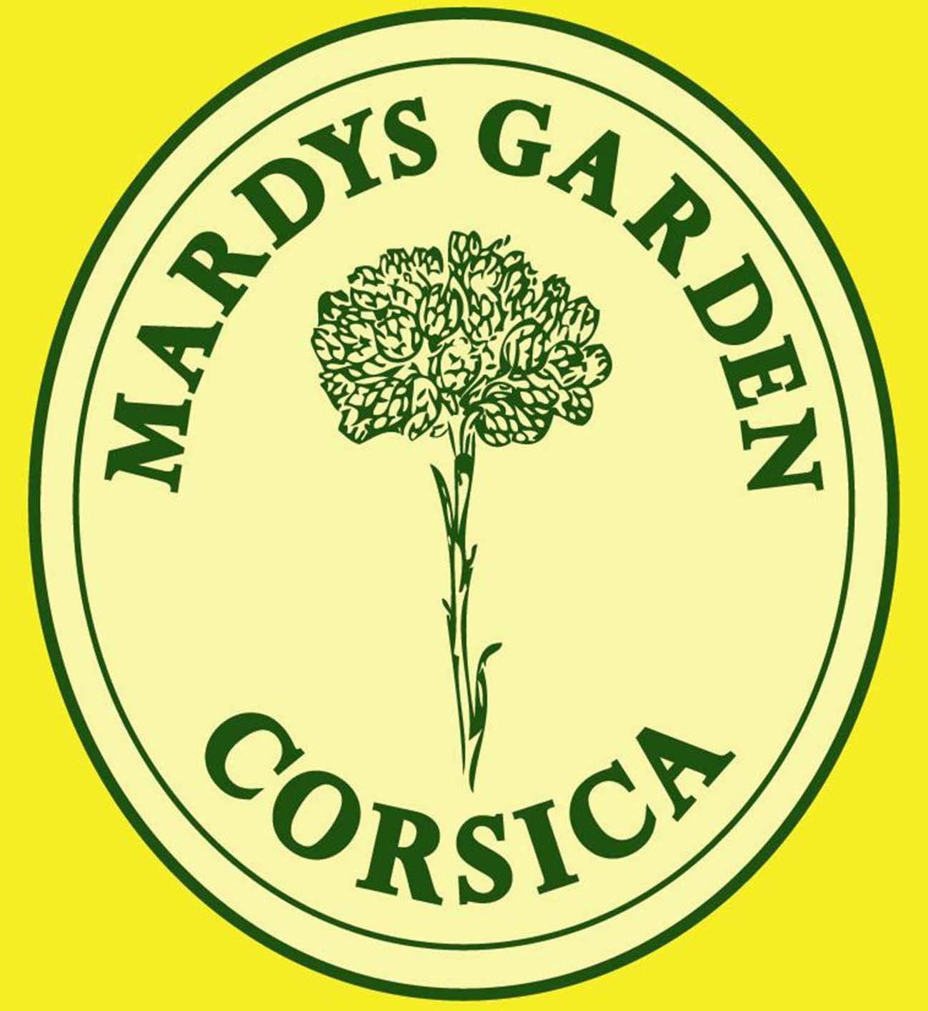 MARDYS GARDEN Immortelle Face Cream 50ml. Rejuvinating. Made from Precious Organic Flowers and Essentials Oils. Serum for Day. Hydrates & Revives