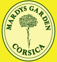 MARDYS GARDEN Immortelle Face Cream 50ml. Rejuvinating. Made from Precious Organic Flowers and Essentials Oils. Serum for Day. Hydrates & Revives