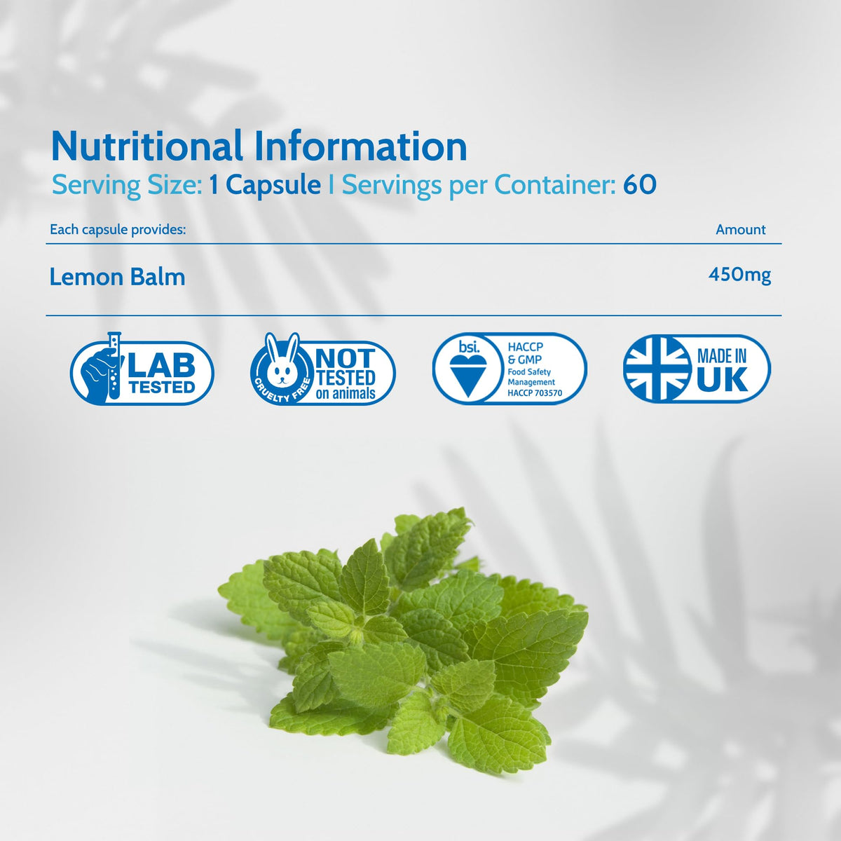 Health4All Lemon Balm 450mg 60 Capsules, Melissa for Anxiety & Stress During The Day, Purest Supplement, Additives Free | Vegan Capsules (not Tablets) Made in UK