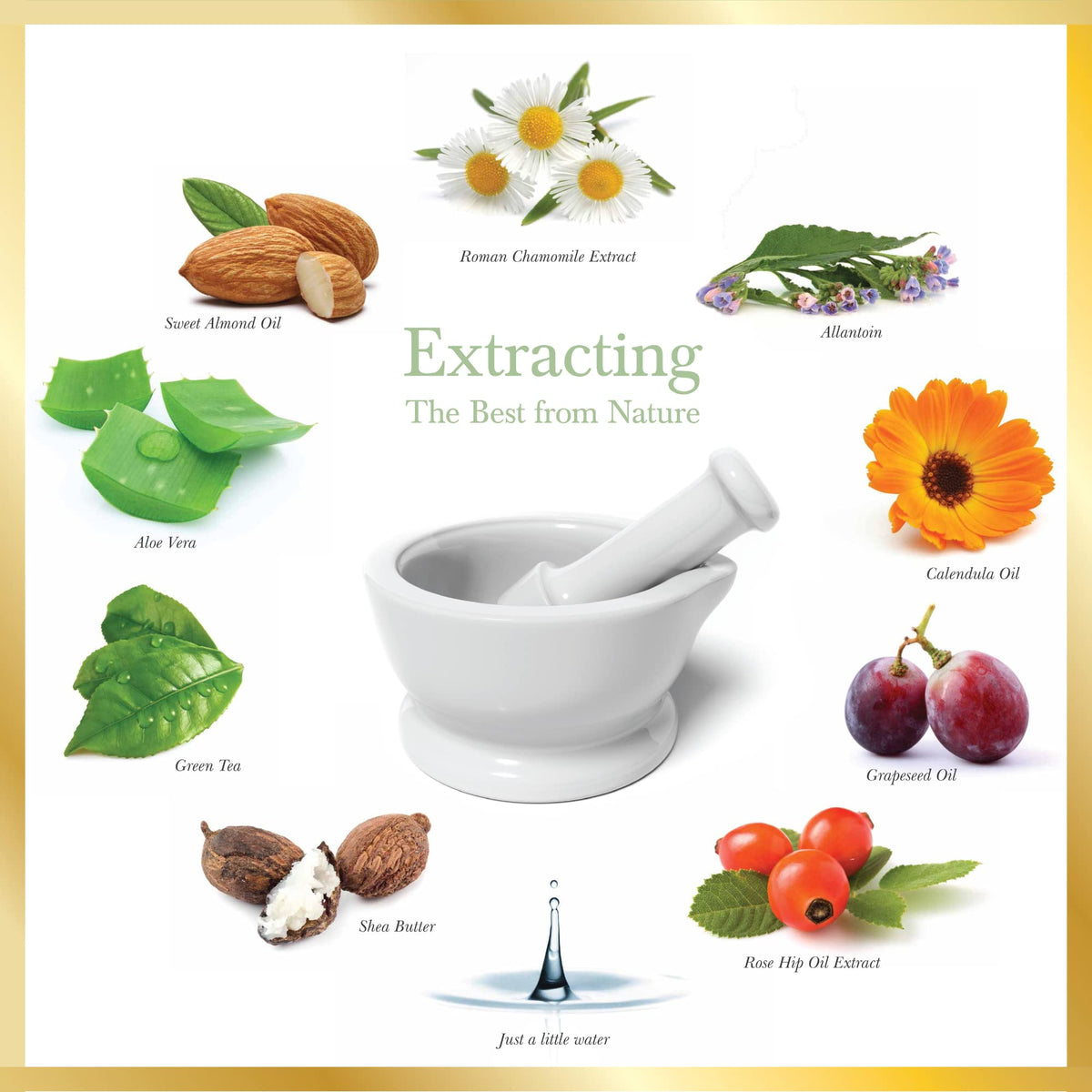 Eternal Skincare - Aloe Super Hydrating Moisturiser (100ml) Fragrance Free - Rich in Aloe Vera. For Dry and Sensitive Skin. For Body & Face. Made in UK.