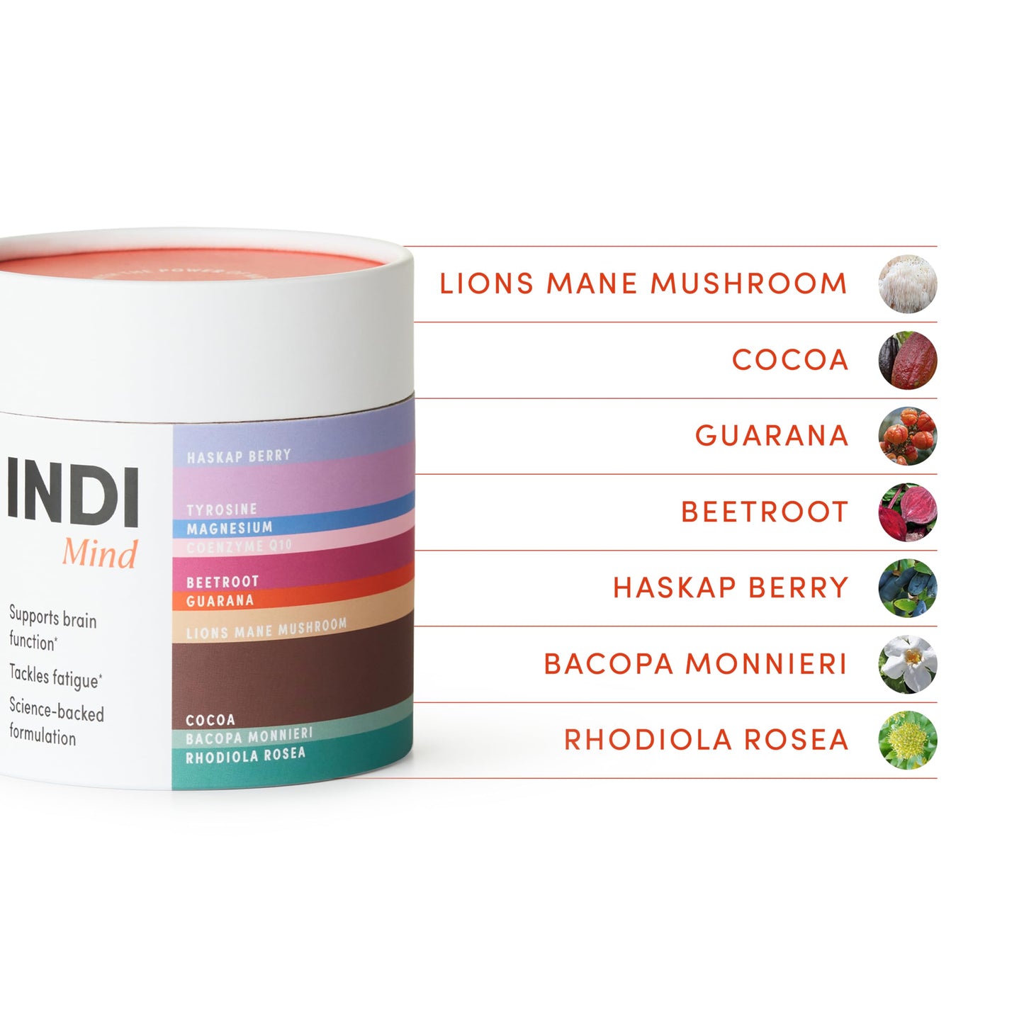Indi INDI Lion's Mane Mushroom Powder Supplement – Nootropic Brain Support for Focus & Mental Clarity – 15:1 Extract with Magnesium, CoQ-10 & Rhodiola – Chocolate Flavour, Vegan & Made in UK – 28 Servings