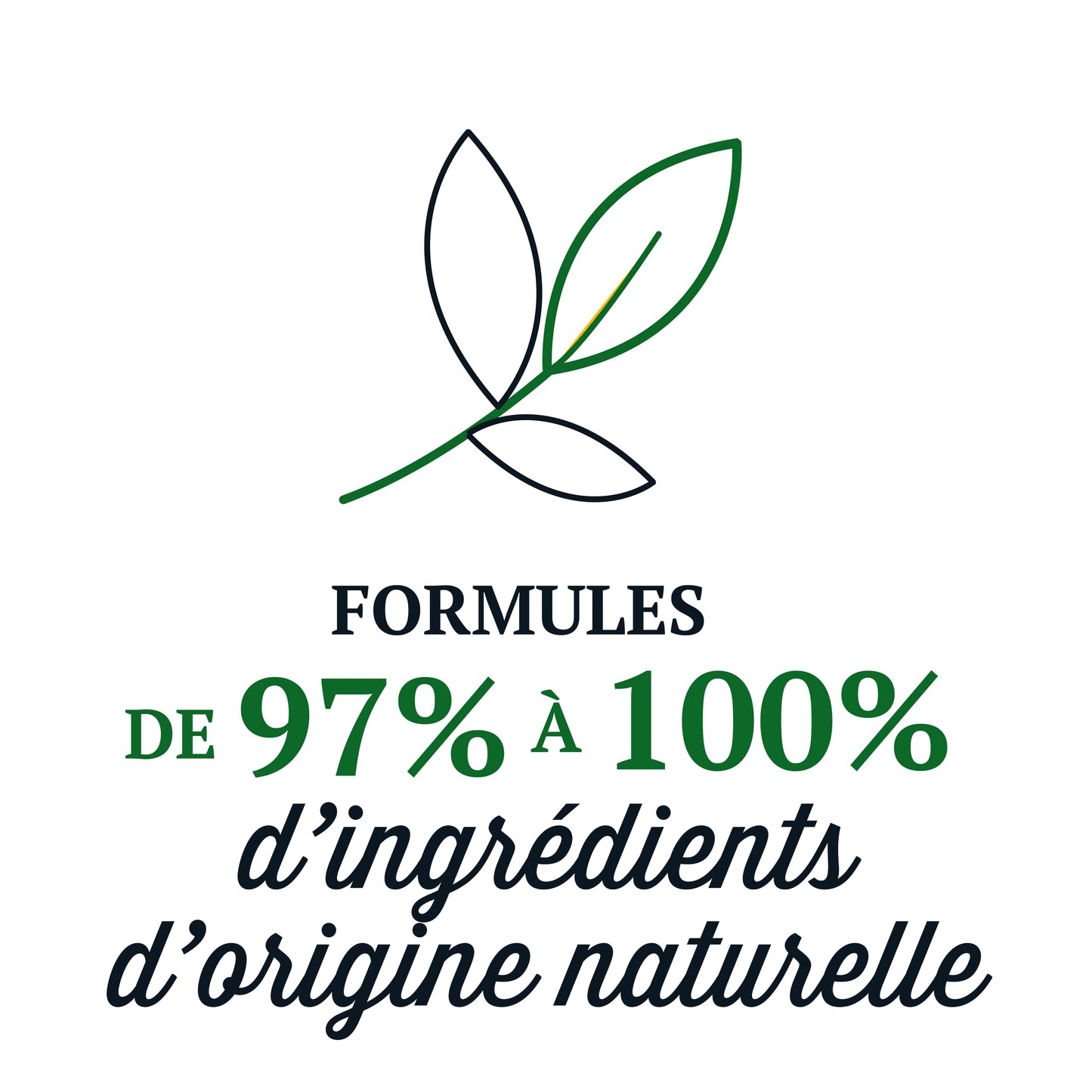 Briochin depuis 1919 P'ti Bio Gel Lavant 2en1 Corps & Cheveux Coquelicot Cosmos Organic 250 ml 250 ml