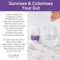 Cura Nutrition CURA NUTRITION SPOREBIOTICS – Spore Based Probiotic with Antioxidants, Active Bacteria Daily Supplement to Boost Akkermansia, 3 Bacillus Spores for Gut Health Support, Vegan Probiotics (30 Capsules)