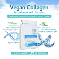 swiss bioenergetics Vegan Collagen & Hyaluronic Acid Complex - 60 Capsules - Effective Skin, Hair & Nails Formula with 500mg of Vollagen in The Exact Amino ratios of Human Collagen - D-Biotin, Seaweed, Vitamins E&C