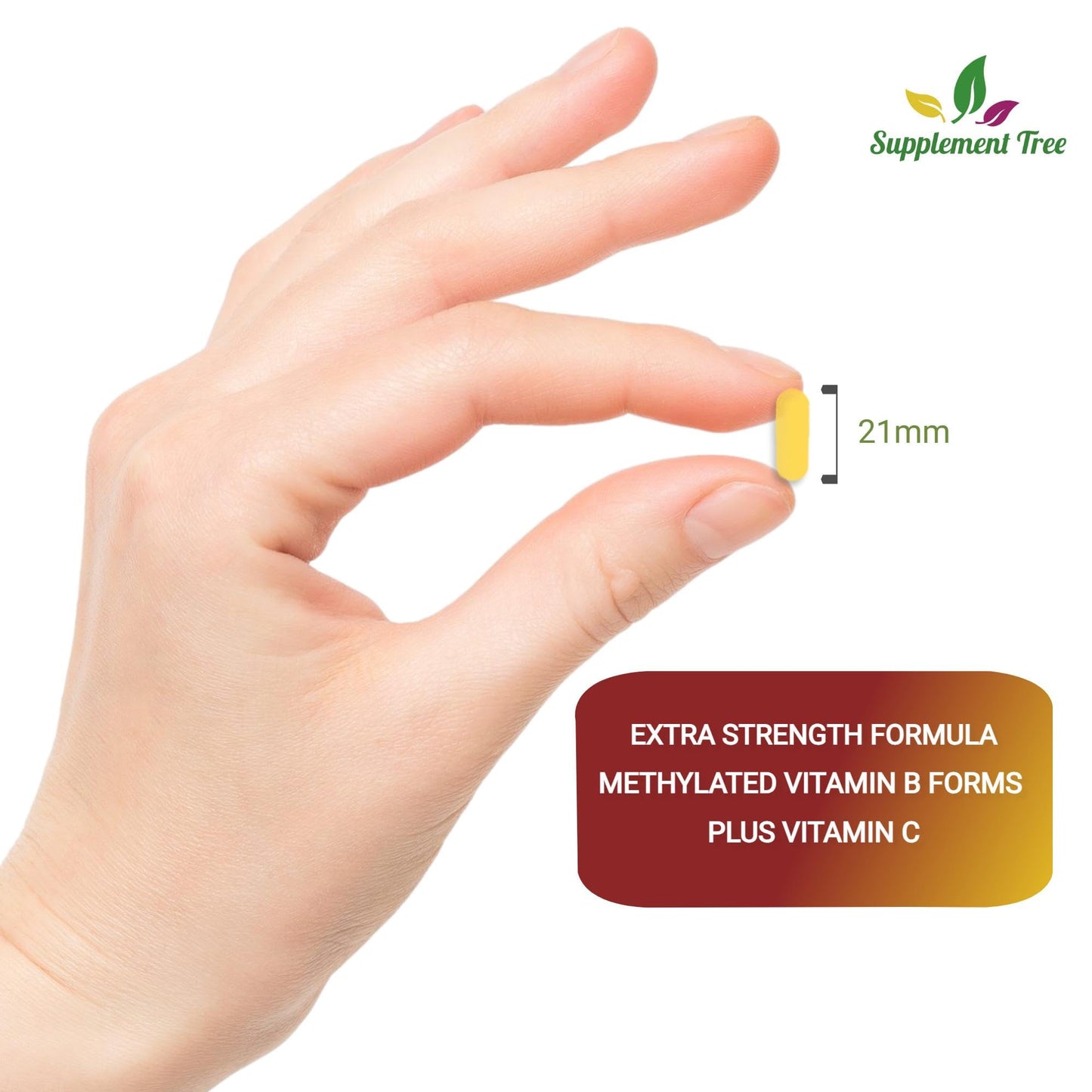 Supplement Tree Bioactive B Complex with Vitamin C – Methylated B12, Folate (5-MTHF), B6 P5P, PABA, Choline, Inositol – High Strength, 90 Vegan Capsules – Non-GMO