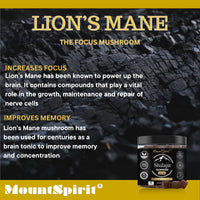 Shilajit Gummies 3-in-1 Max Strength by MountSpirit™, Himalayan Shilajit with Lions Mane and Ashwagandha, Fulvic & Humic Acid and 85+ Minerals, for Energy, Immunity & Focus, Sugar-Free, 60 Gummies