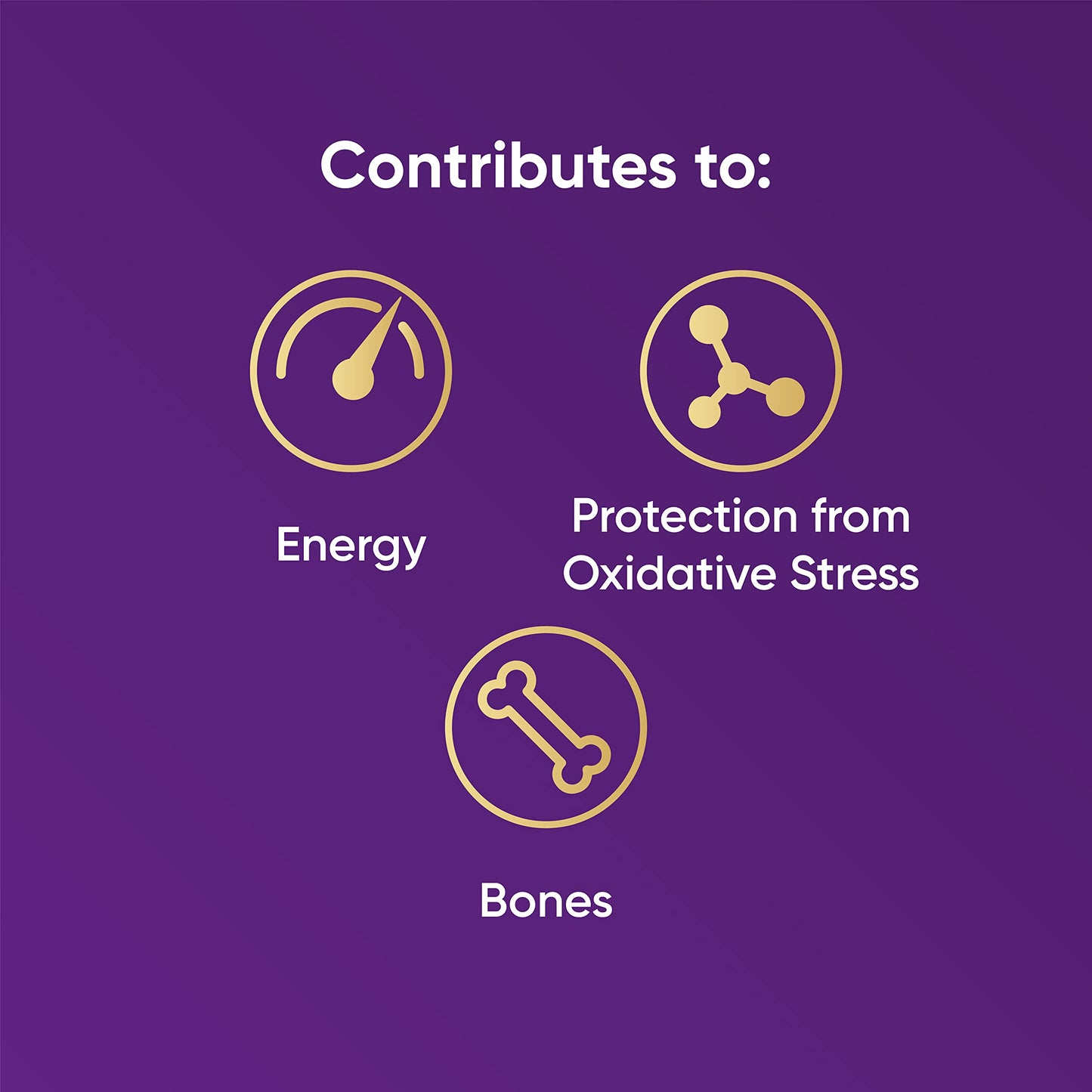 Naturya Organic Açaí Powder - Wild-Harvested from Amazonian Açaí Palms, Rich in Manganese & Vitamin A, High in Fibre, Antioxidant Superfood, Gluten-Free, Vegan - 125g Pouch