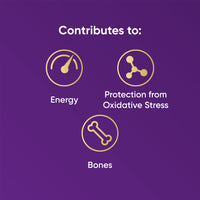 Naturya Organic Açaí Powder - Wild-Harvested from Amazonian Açaí Palms, Rich in Manganese & Vitamin A, High in Fibre, Antioxidant Superfood, Gluten-Free, Vegan - 125g Pouch