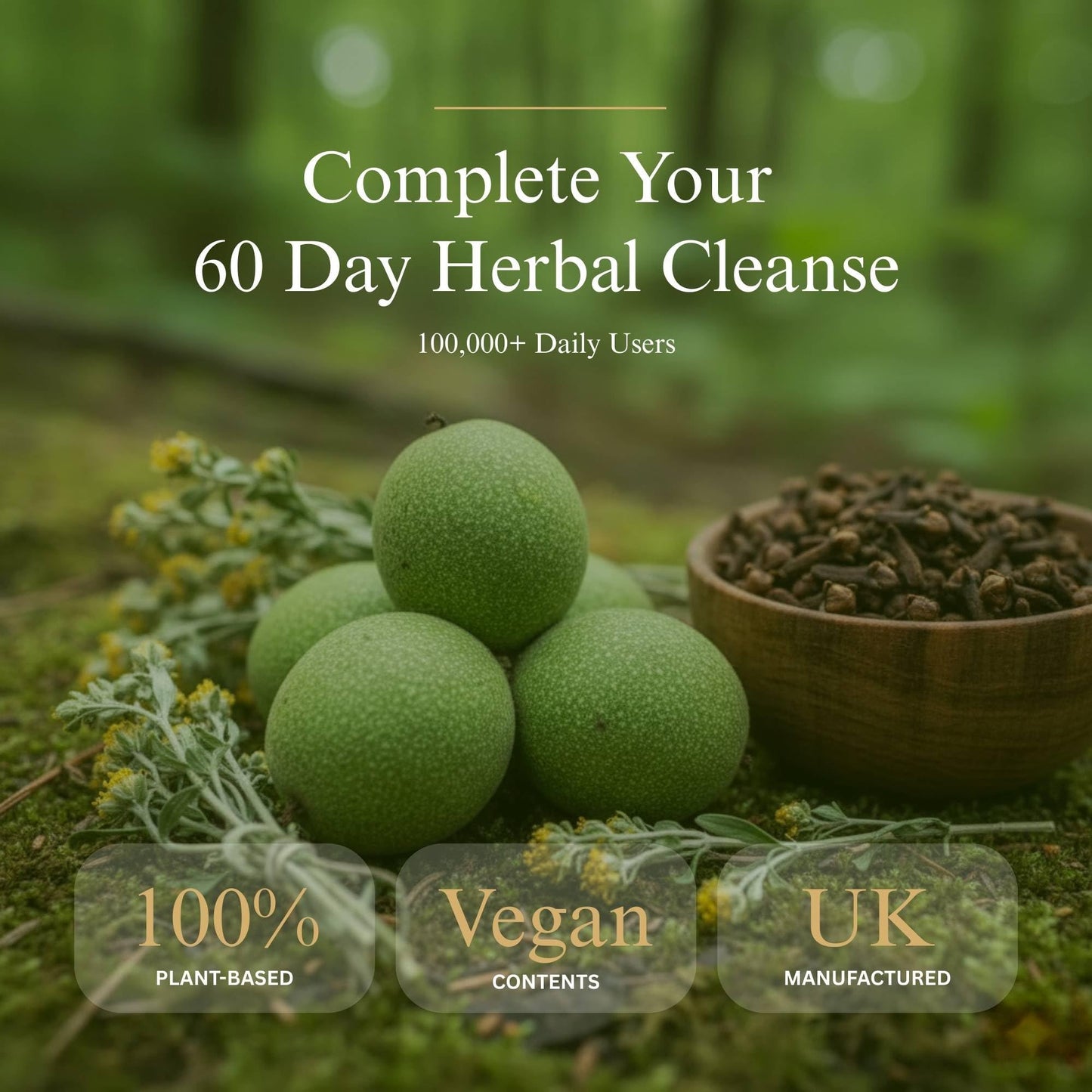 Roundway Supplements Wormwood Black Walnut and Clove Capsules | High Strength Supplement for Humans | 2 Months Supply | 60 Capsules, 600mg per Serving | Vegan Supplement and UK Made (Pack of 1)