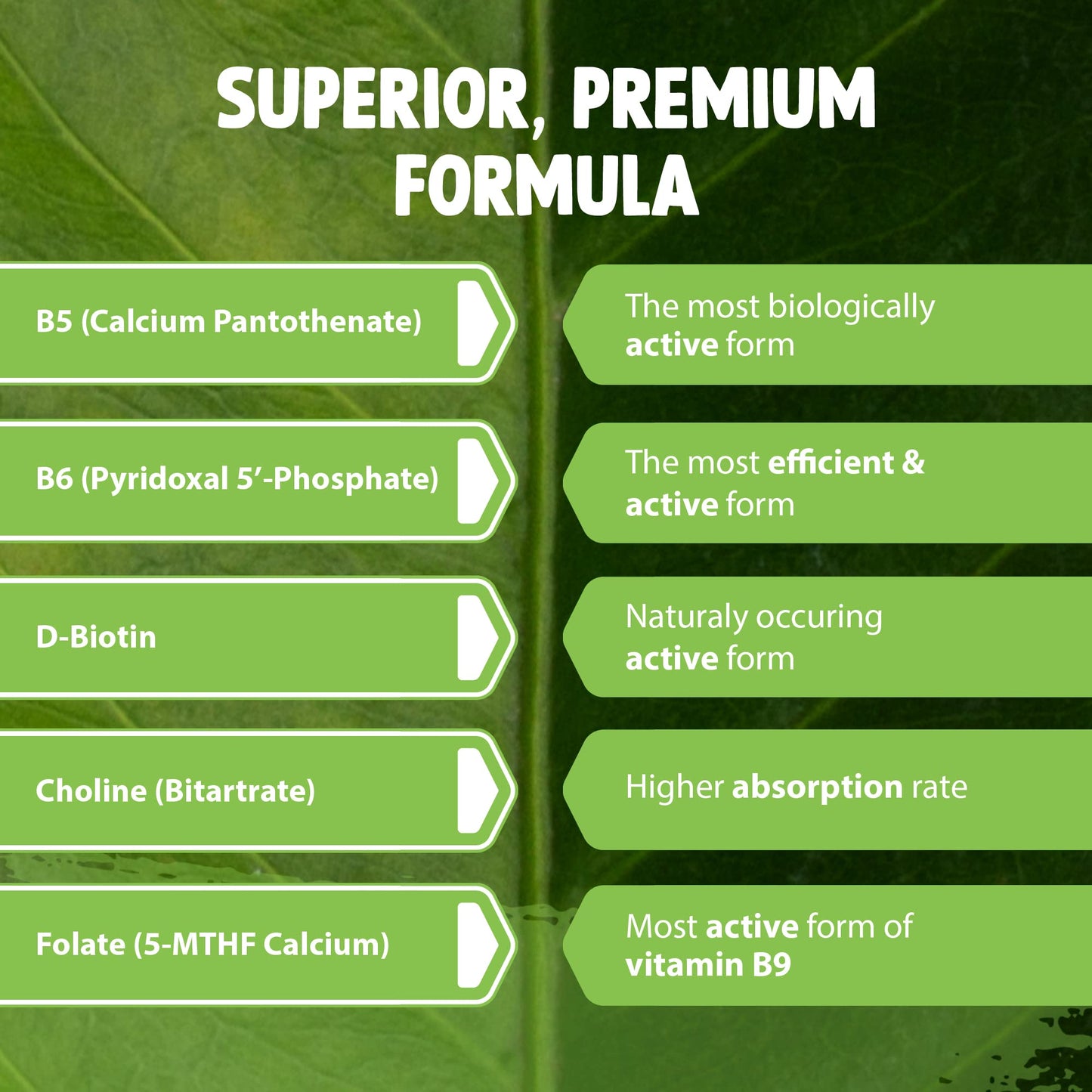 Vitamin B Complex Vegan High Strength Plant Based 60 Capsules Vitamin B12 Supplement B12 2000μg B9 Folate 400μg B7 Biotin 250μg B6 10mg B5 25mg B3 20mg B2 7.5mg B1 12.5mg with Choline Bitartrate