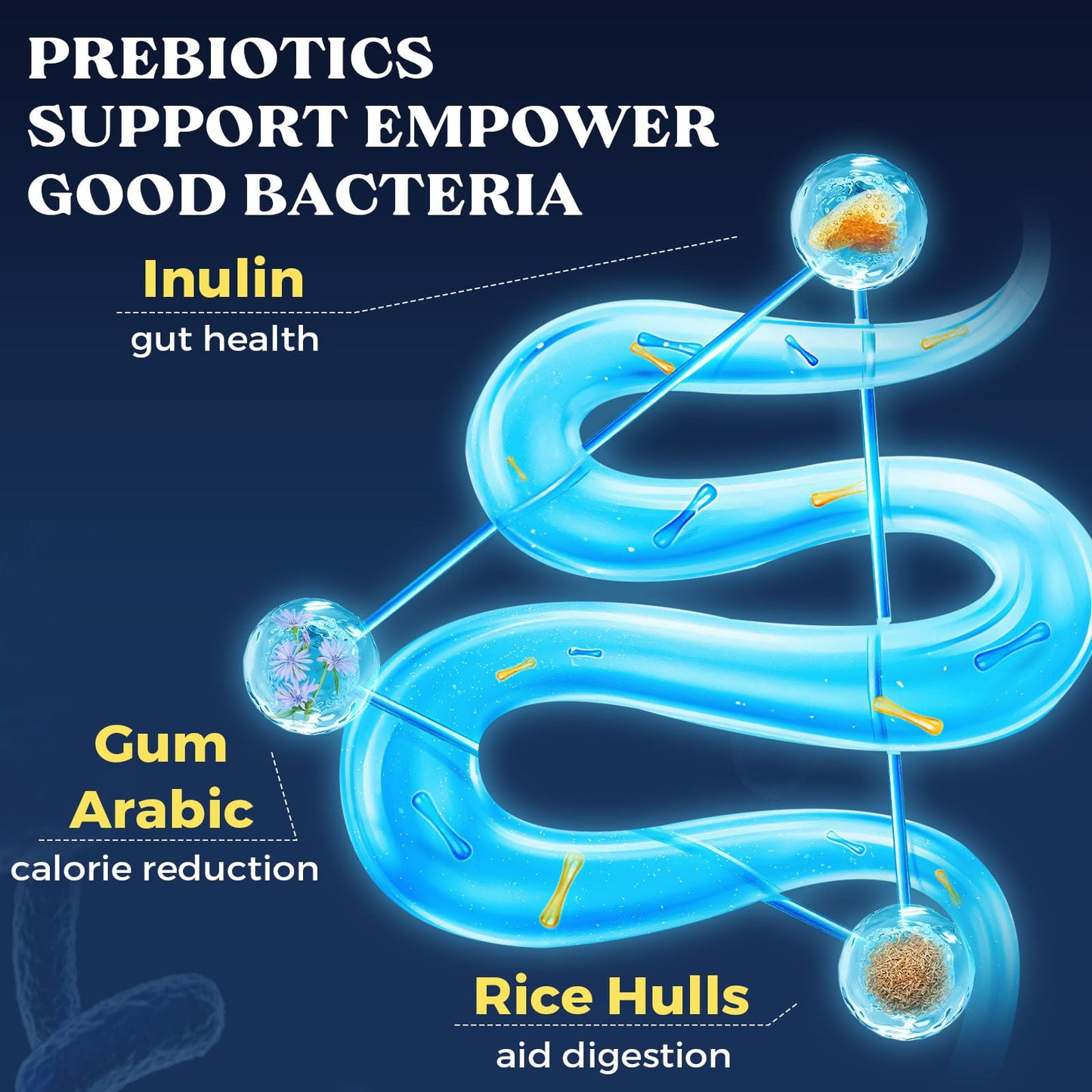 Joiavvy 300 Billion CFU Probiotics & Prebiotics Culture Complex for Gut Health, High Strength 12 Multi Strains, Added 3 Prebiotics, Digestive Probiotics Supplement for Men & Women, 120 Vegan Capsules