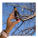 FairTaleGhana FairTale GHANA Baobab Oil 1.69 fl.oz / 50 ml Handcrafted, 100% Natural, Wild Harvested, Unrefined, Cold pressed