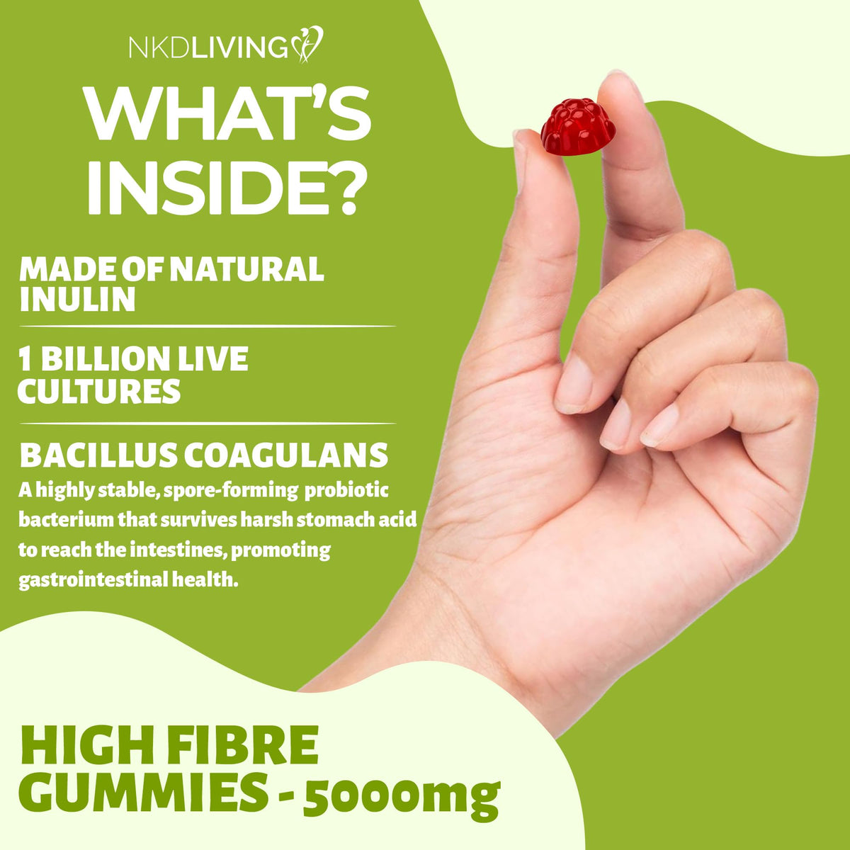 NKD Living High Fibre Inulin Gummies (60 Vegan Gummies) 5g of Fibre per Serving - with 1 Billion Live Cultures - Gut Health and Digestive System Support