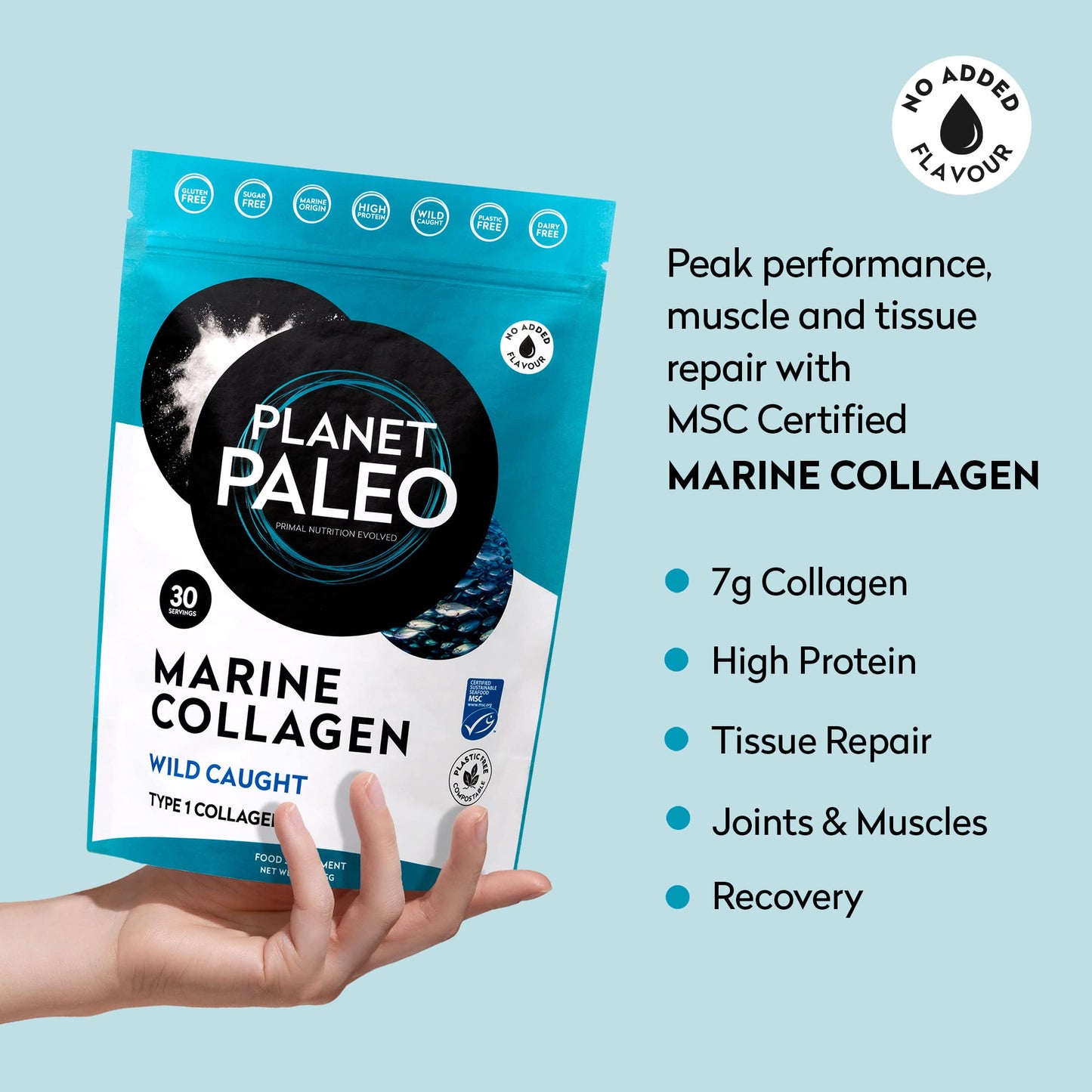 Planet Paleo Marine Collagen Powder - Nourishes Hair, Skin & Nails, Bone & Joint Support, Easy to Mix (Strawberry, 231g)