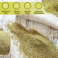 UKHealthHouse Sea Kelp Vegan Powder | Natural Source of Iodine | Premium Ingredients | Iodine Supplement from Wild Grown Sea Kelp Pure Iodine Kelp (500g)
