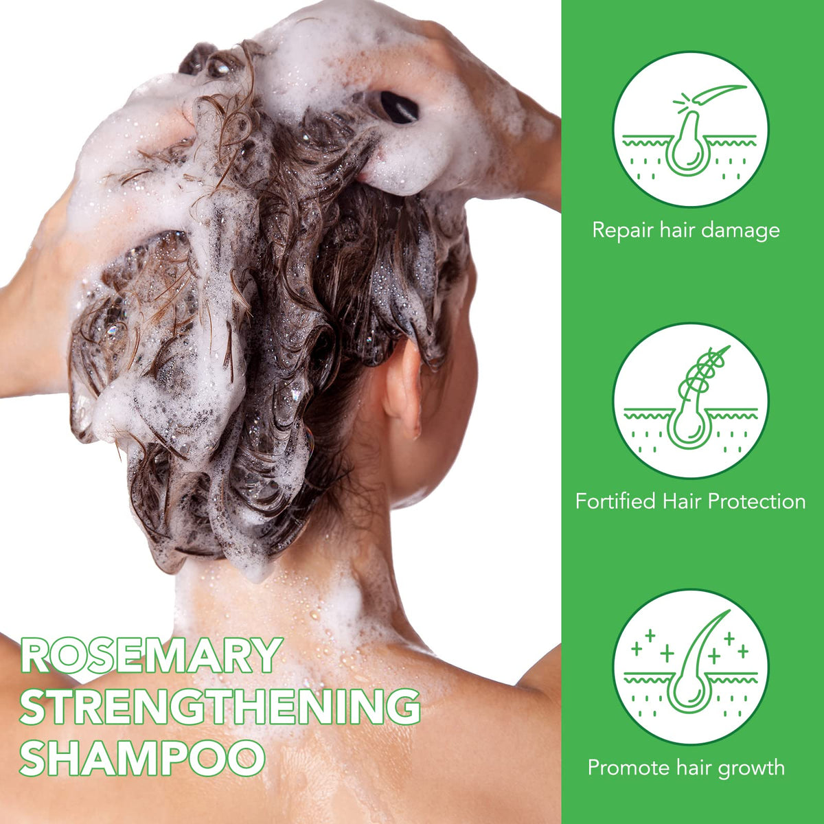 Bibonse Rosemary Shampoo for Hair Growth, Rosemary Mint Shampoo, Organic Hair Growth Shampoo with Biotin, Repairing and Nourishing Scalp, Anti Hair Loss Shampoo for Women Men, Sulfate Free, 300ml