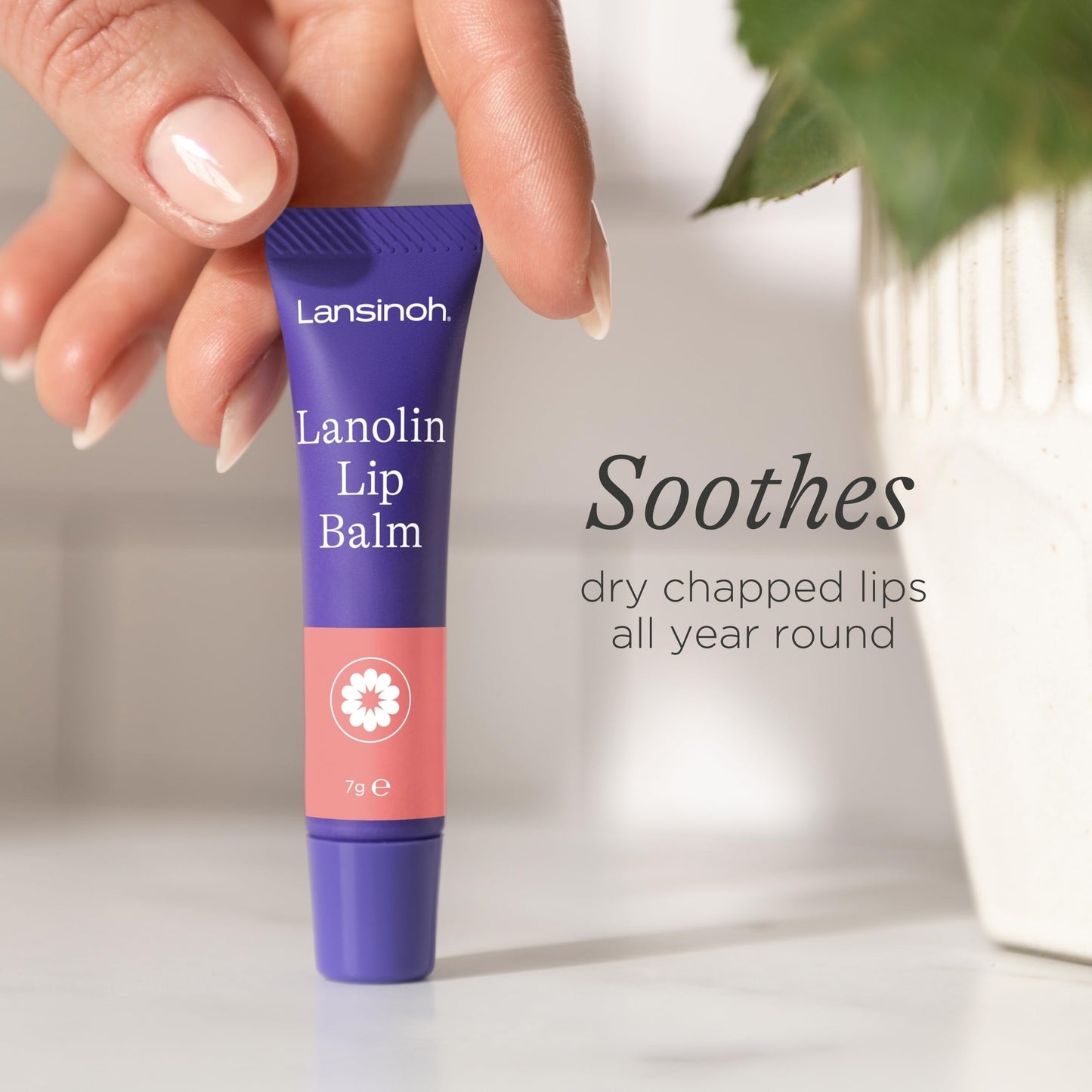 Lansinoh Lanolin Lip Balm for dry cracked Lips -7ml