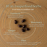 New Chapter Zyflamend™ Mini Softgels, Multi-Herbal Pain Reliever+ Joint Supplement, 10-in-1 Superfood Blend with Ginger & Turmeric for Healthy Inflammation Response, Mini Soft Gels, 180 Count