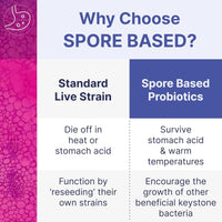 Microbiome Labs MegaSporeBiotic Spores Only - Spore Based Probiotic Daily Supplement to Boost Akkermansia, 4 Bacillus Strains for Gut Health Support for Men & Women, Vegan Probiotics (60 Capsules)