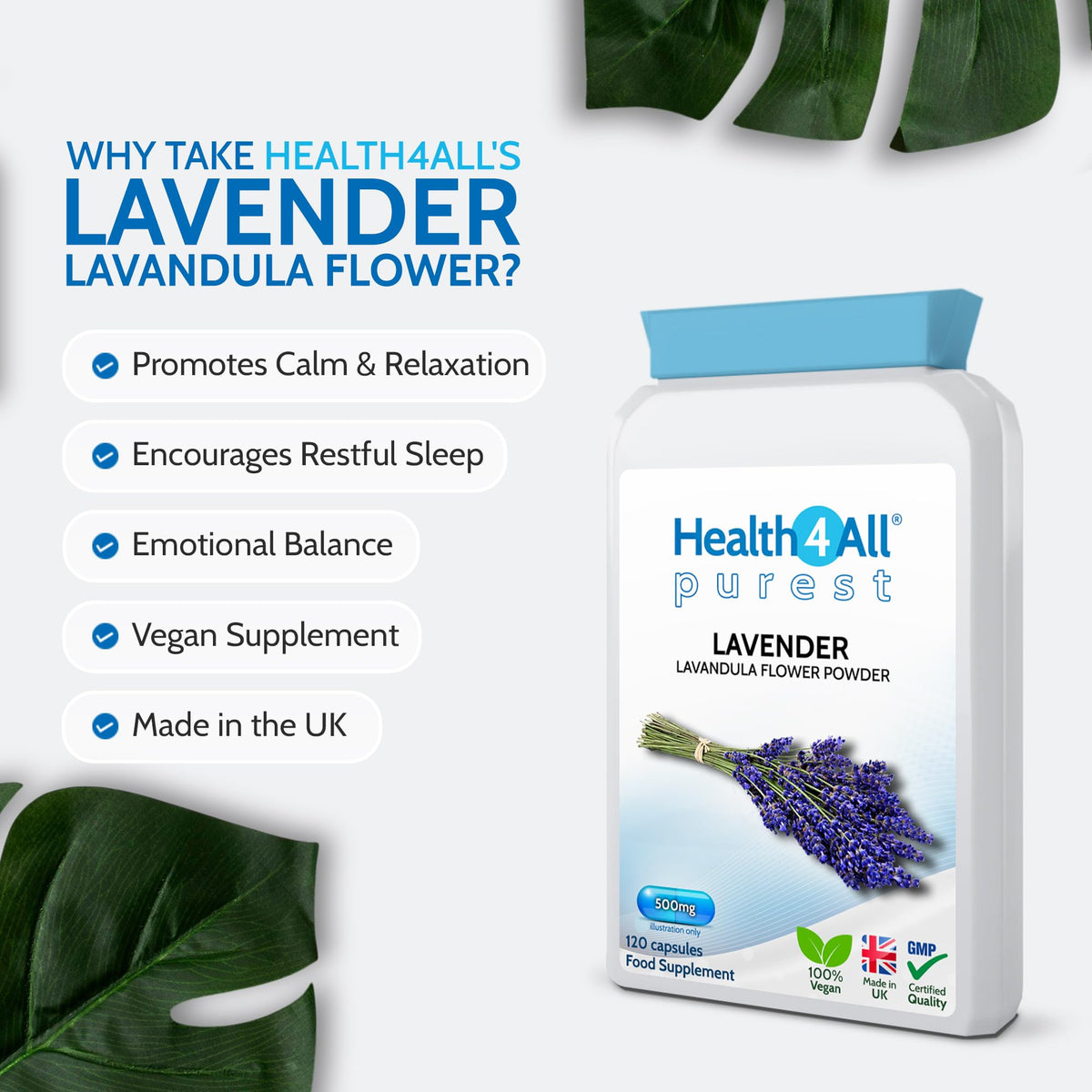 Health4All Lavender 500mg 120 Capsules 4 Month Supply, Purest - no additives. Vegan Lavandula Flower Capsules (not Tablets or Oil) Supplement for Anxiety, Relaxation and Sleep Support | Made in UK