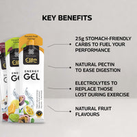Healthspan Elite Energy Gels | 25g Dual Source Fast Acting Carbs | 3 Electrolytes- Sodium, Potassium & Calcium | Vegan (Mixed Flavours)