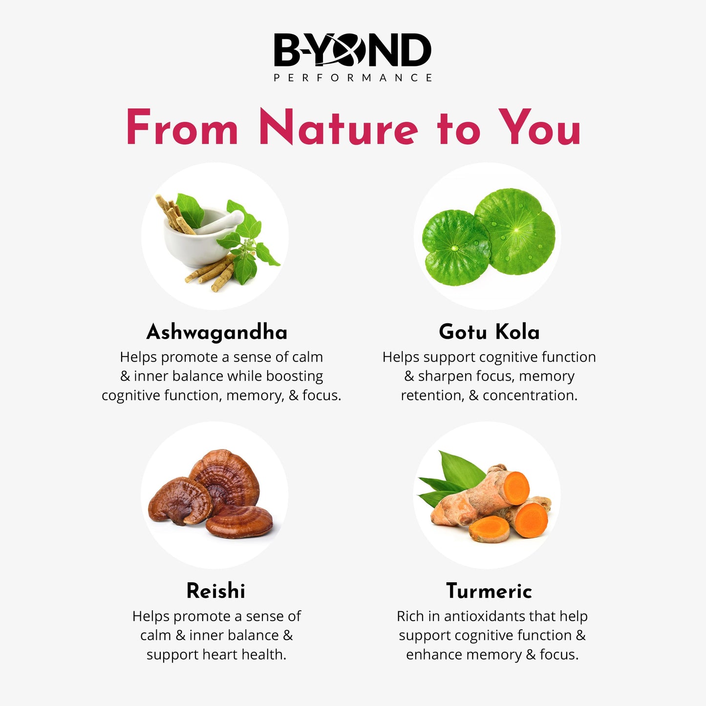 B-YOND Performance Mushroom Complex Supplement for Focus - Premium Brain Supplement with Ashwagandha, Turmeric, Reishi, & Gotu Kola for Focus & Memory Support - for Women & Men by B-Yond Performance, 60 Capsules