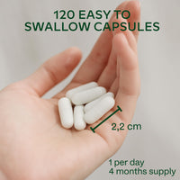 AAVALABS Multivitamin Complex with 25 Vitamins and Minerals + Ashwagandha and Rhodiola Rosea - Multivitamin Tablets for Women and Men - with Vitamin C & Vitamin D - Multivitamins and Minerals - 120 Capsules