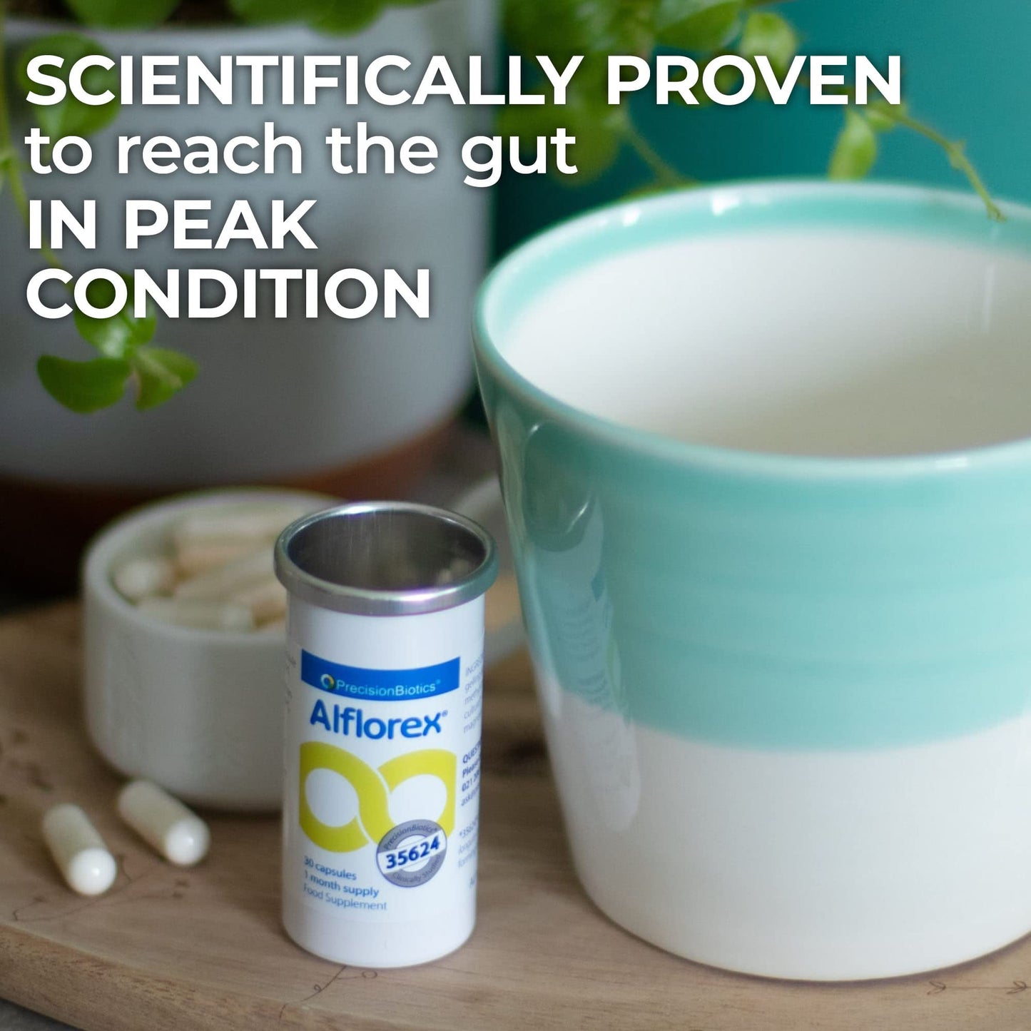 Alflorex Original – Daily Gut Health Probiotics - Contains Bifidobacterium Longum Bacterial Culture Strain 35624 – No Refrigeration Required - 60 Capsules