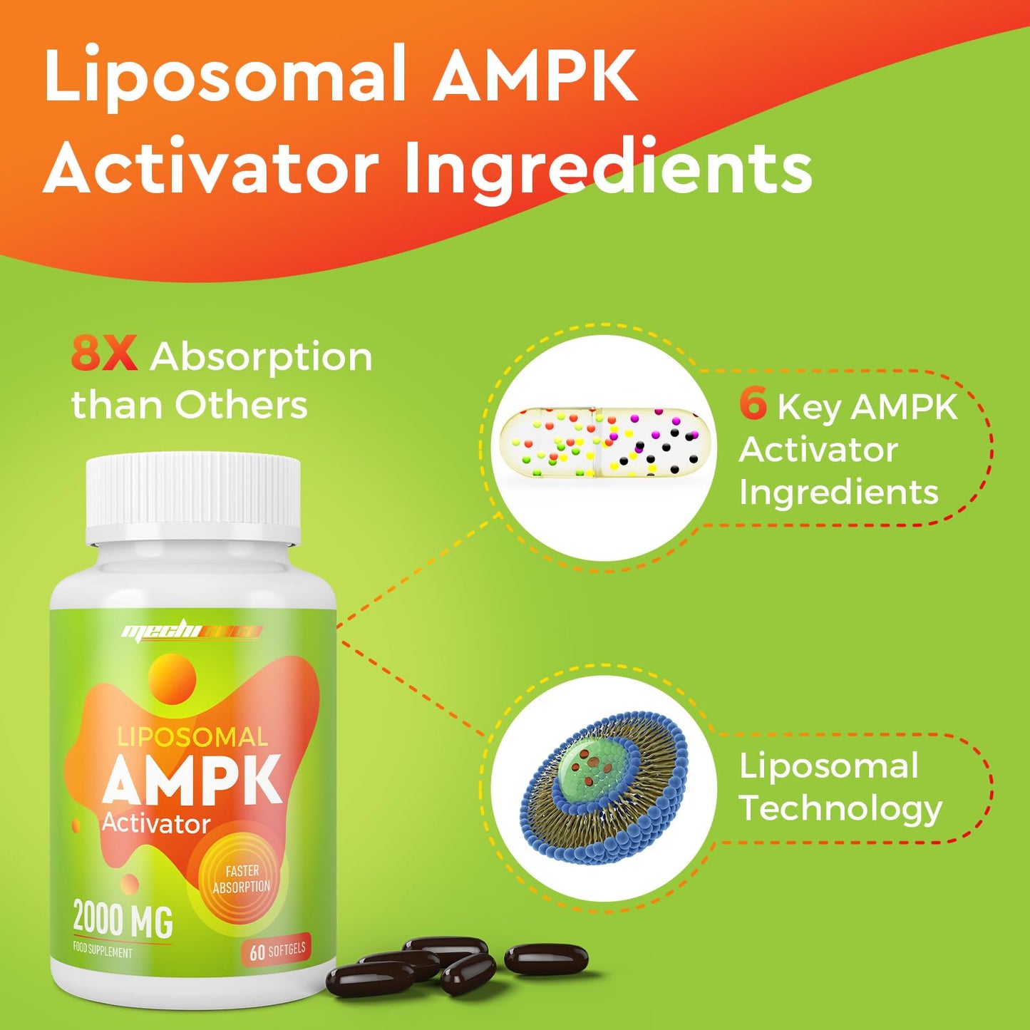 Mechicoco Liposomal AMPK Activator Capsules 2000 mg(2 Package),6-in-1 Formula with Quercetin Dihydrate, Resveratrol and Cinnamon Bark, for Antioxidant Support and Cellular Regulation, NO Soy,NO Gluten